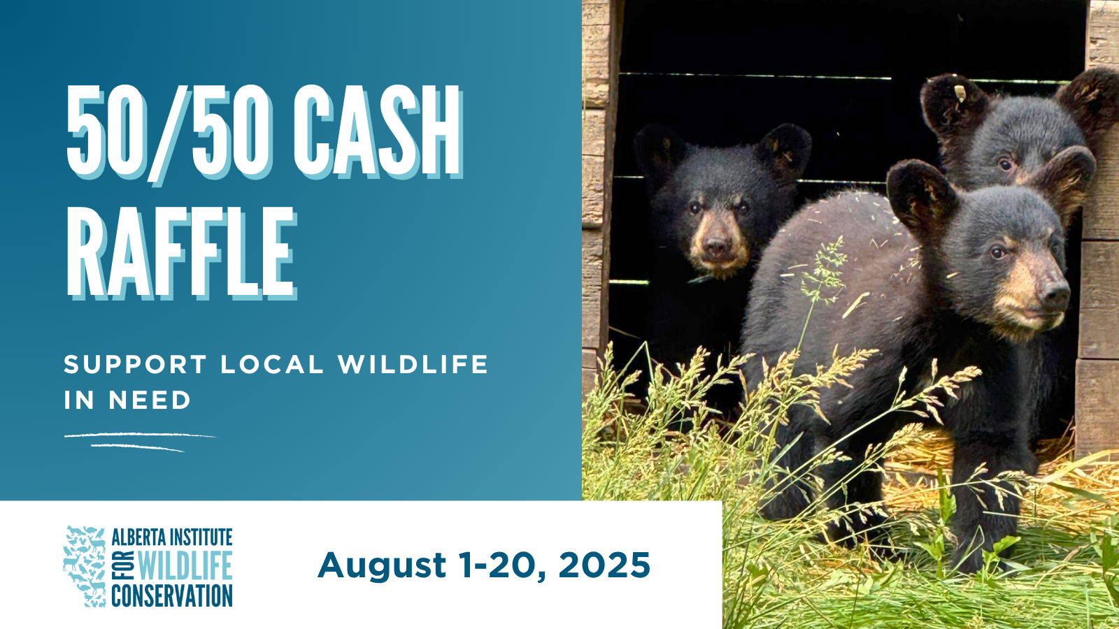 50/50 Cash Raffle